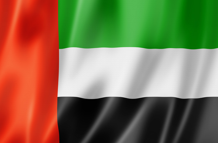 Länderflagge Vereinigte Arabische Emirate